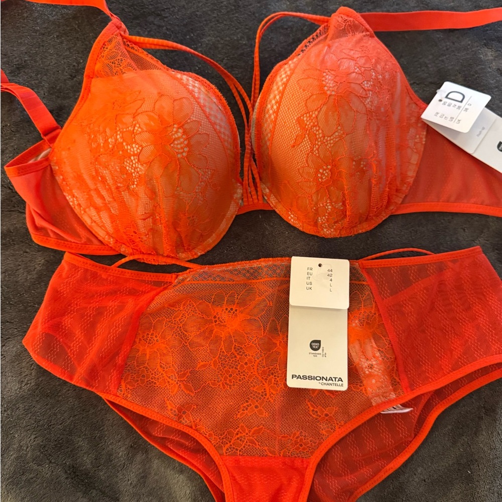 Chantelle Rebecca Push Up Strappy Lace Bra (36D) and Matching Panties (L)